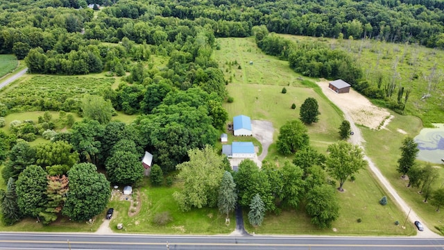 8595 E Napier Ave, Benton Harbor, MI 49022 - drone / aerial view of a heavily wooded area