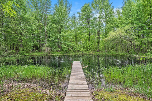 8837 56th Ave, Hudsonville, MI 49426 - dock featuring a water view and a view of trees