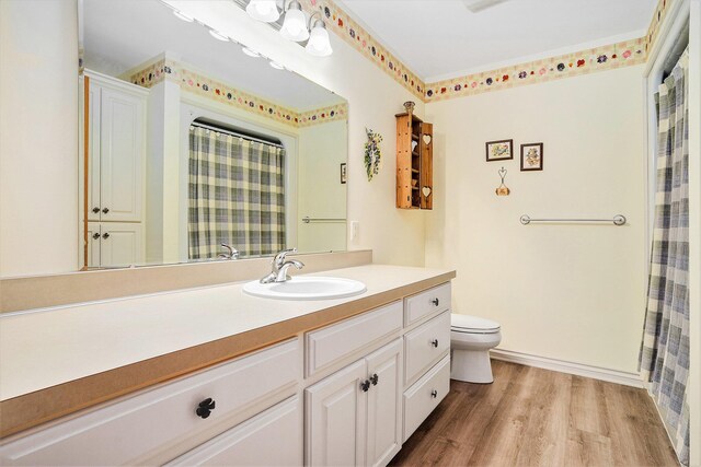 8837 56th Ave, Hudsonville, MI 49426 - bathroom featuring vanity, toilet, wood finished floors, and a shower with shower curtain