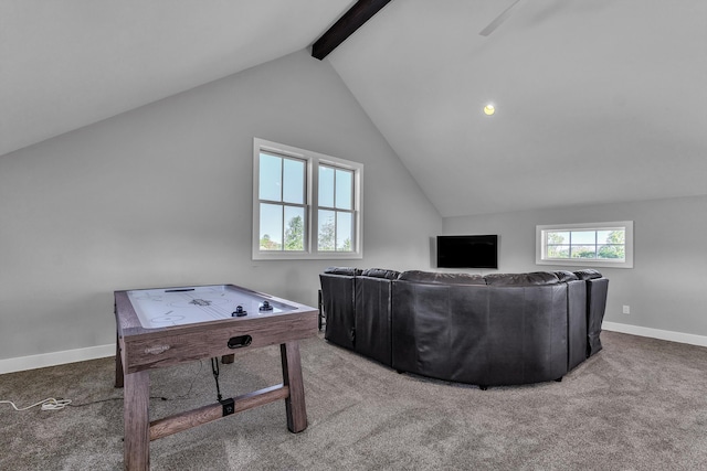 1812 Guenther Rd, Chelsea, MI 48118 - photo 47