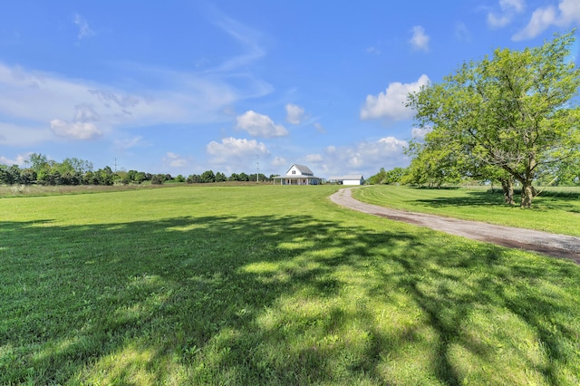 1812 Guenther Rd, Chelsea, MI 48118 - photo 61
