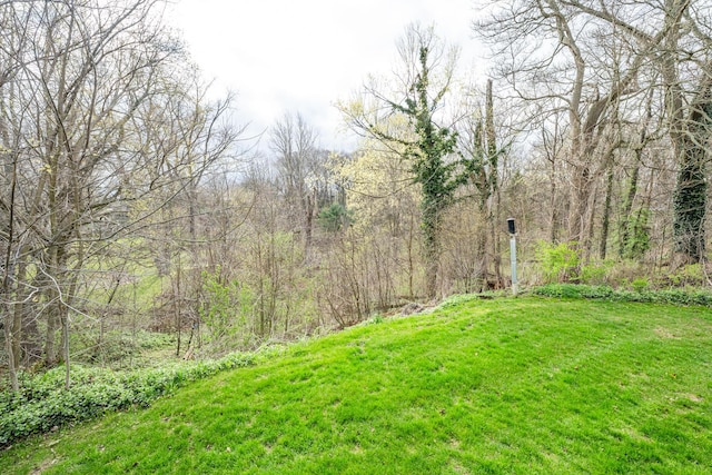 4569 Terra Ln, Saint Joseph, MI 49085 - view of grassy yard with a forest view