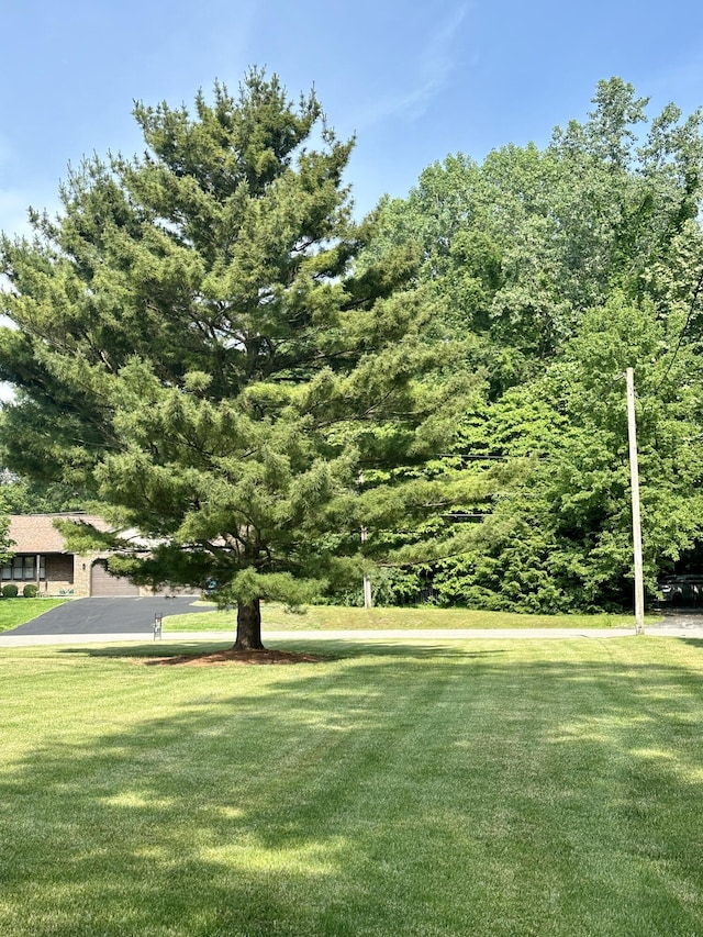 4569 Terra Ln, Saint Joseph, MI 49085 - view of green lawn