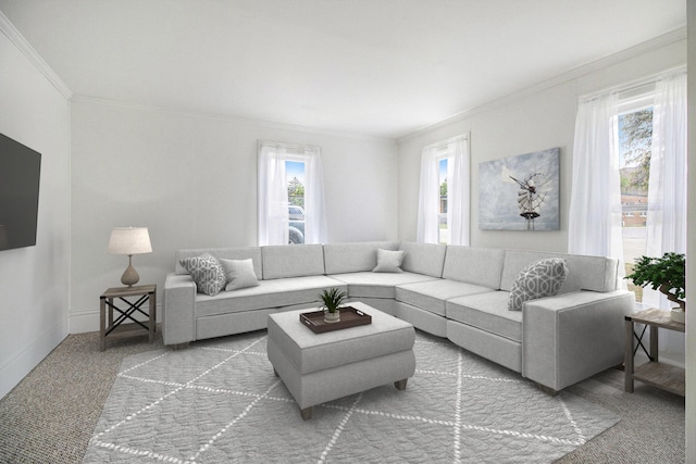 501 E Paw Paw St, Paw Paw, MI 49079 - carpeted living room with crown molding and baseboards