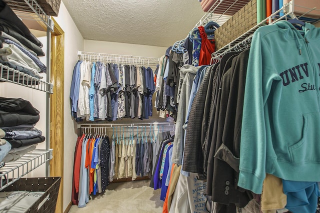 2481 Jameswood Ct, Holland, MI 49424 - spacious closet with carpet