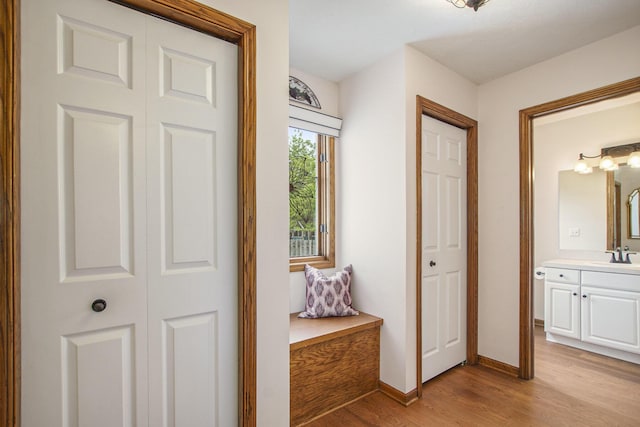 2481 Jameswood Ct, Holland, MI 49424 - hall with light wood-style floors, a sink, and baseboards