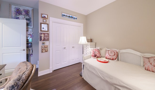 300 Morning Walk Path, Benton Harbor, MI 49022 - bedroom with dark wood-style flooring, baseboards, and a closet