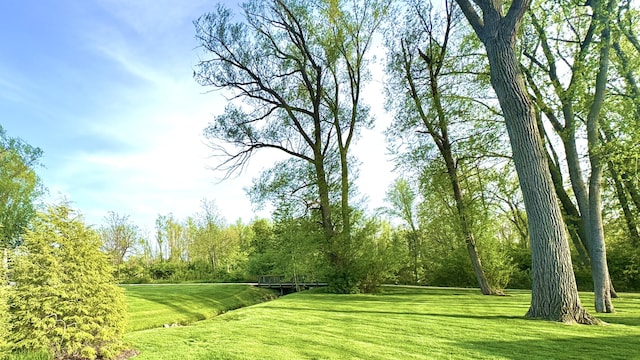 300 Morning Walk Path, Benton Harbor, MI 49022 - view of property's community featuring a yard