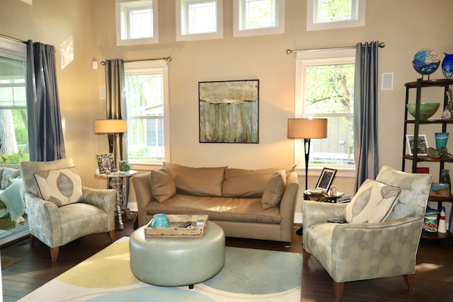 300 Morning Walk Path, Benton Harbor, MI 49022 - living area featuring wood finished floors, plenty of natural light, a towering ceiling, and baseboards