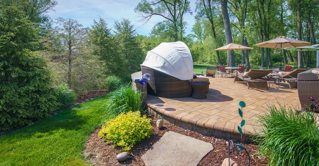 300 Morning Walk Path, Benton Harbor, MI 49022 - view of patio featuring an outdoor hangout area