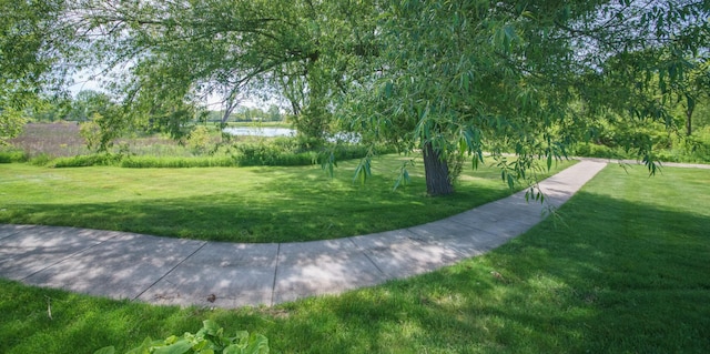 300 Morning Walk Path, Benton Harbor, MI 49022 - view of property's community featuring a lawn and a water view
