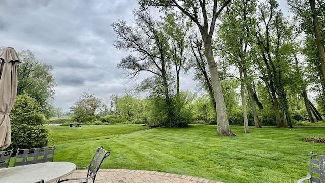 300 Morning Walk Path, Benton Harbor, MI 49022 - view of grassy yard featuring a patio area