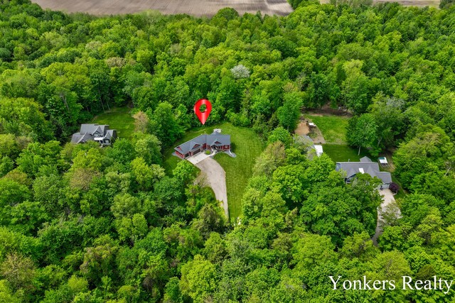 1109 Kenowa Ave SW, Byron Center, MI 49315 - aerial view of a heavily wooded area