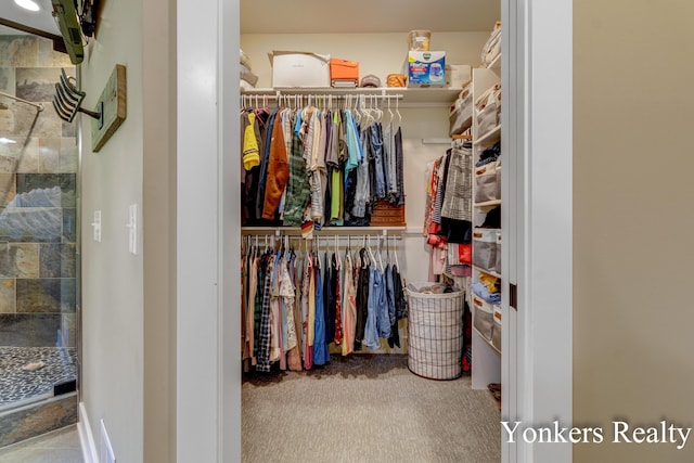 1109 Kenowa Ave SW, Byron Center, MI 49315 - walk in closet featuring carpet flooring