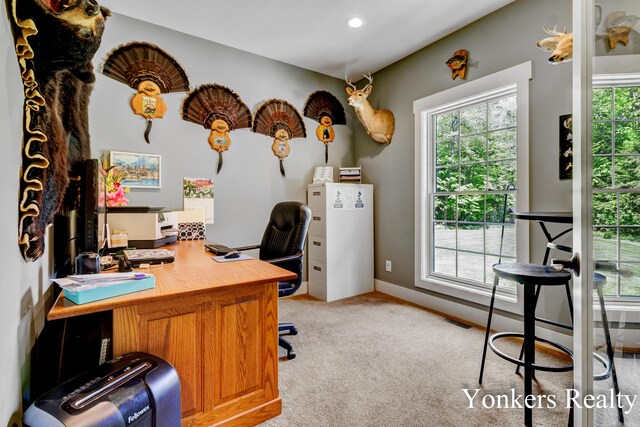 1109 Kenowa Ave SW, Byron Center, MI 49315 - office area with light carpet, recessed lighting, and baseboards