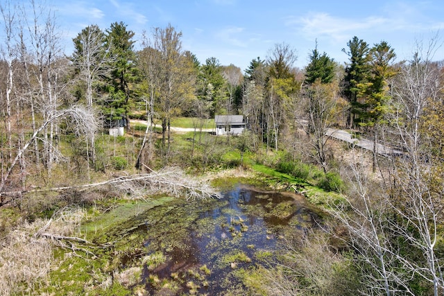 4371 N 68th Ave, Hart, MI 49420 - view of yard