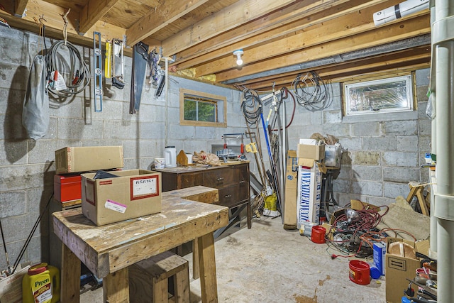 4900 N Railroad Ave, Pentwater, MI 49449 - view of basement