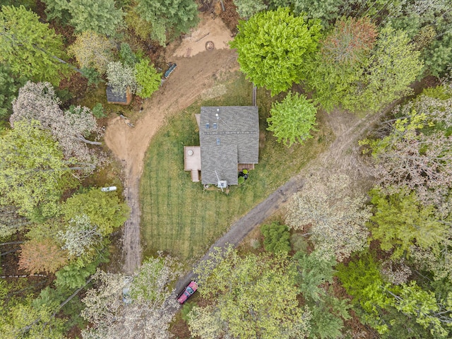 4900 N Railroad Ave, Pentwater, MI 49449 - aerial view of property and surrounding area