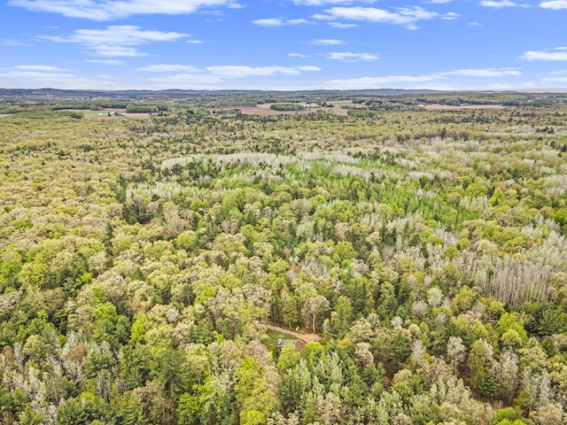 4900 N Railroad Ave, Pentwater, MI 49449 - bird's eye view of a heavily wooded area
