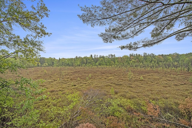 11199 W Harlow Rd, Greenville, MI 48838 - view of wooded area