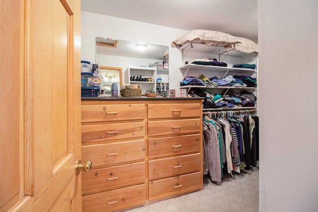6818 W Vesper Dr, Ludington, MI 49431 - walk in closet with light colored carpet