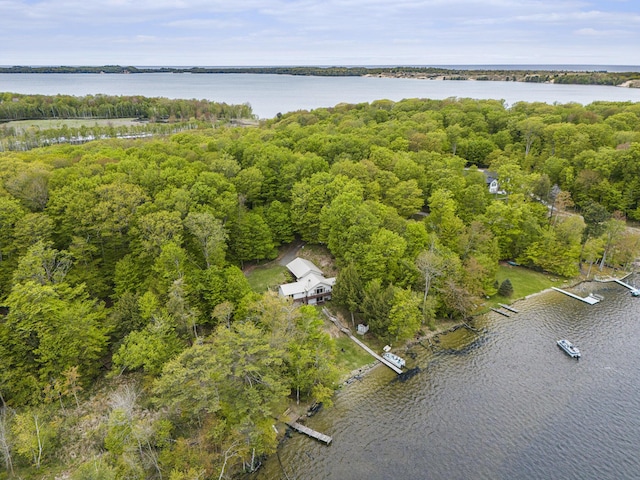 6818 W Vesper Dr, Ludington, MI 49431 - view of property location featuring a large body of water
