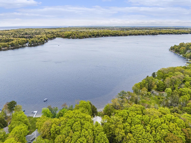 6818 W Vesper Dr, Ludington, MI 49431 - drone / aerial view of a nearby body of water and a heavily wooded area