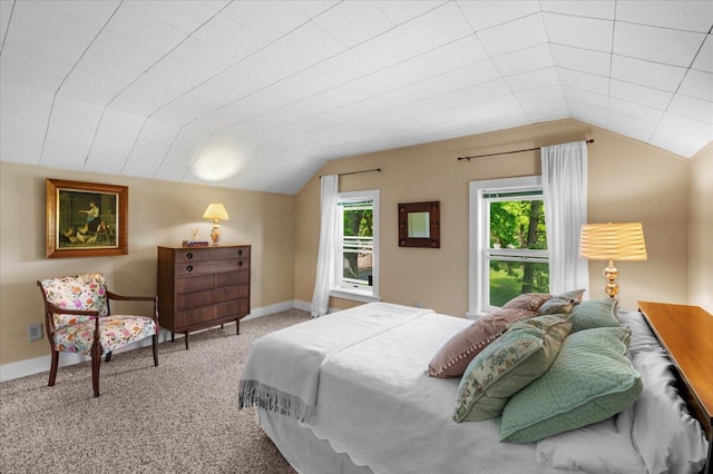 11087 Phelps Ave NW, Sparta, MI 49345 - carpeted bedroom featuring vaulted ceiling and baseboards