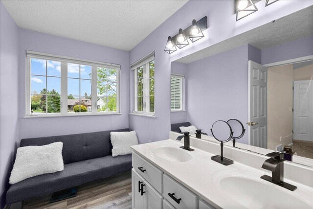 306 Meister Rd, Fremont, MI 49412 - full bathroom featuring a textured ceiling, double vanity, and wood finished floors
