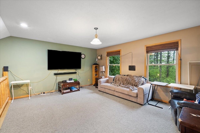 65 N Brown Rd, Bailey, MI 49303 - living area with carpet flooring and baseboards