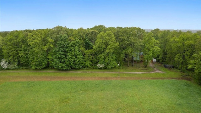 65 N Brown Rd, Bailey, MI 49303 - view of home's community featuring a lawn and a wooded view