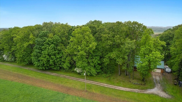 65 N Brown Rd, Bailey, MI 49303 - drone / aerial view of a forest