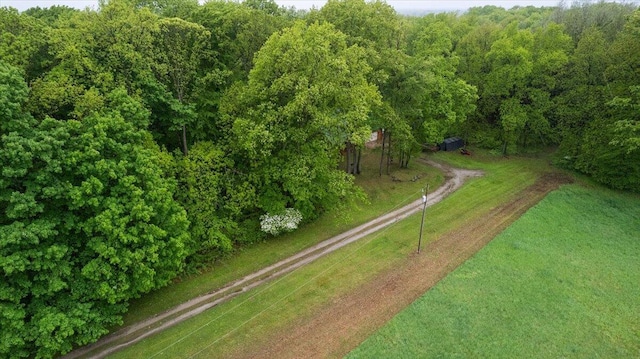65 N Brown Rd, Bailey, MI 49303 - aerial view of property's location featuring a heavily wooded area