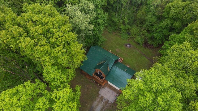65 N Brown Rd, Bailey, MI 49303 - view of subject property