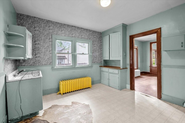 1019 Second St NW, Grand Rapids, MI 49504 - kitchen with radiator, light flooring, and open shelves
