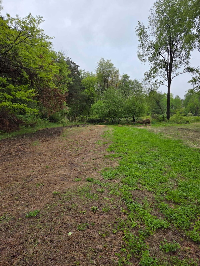 550 E N St, Edmore, MI 48829 - view of yard
