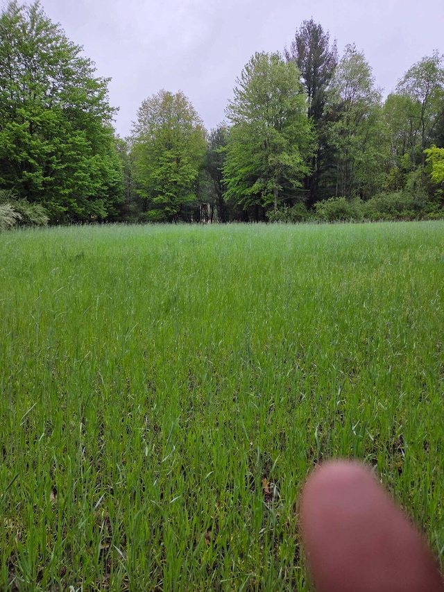 550 E N St, Edmore, MI 48829 - view of yard