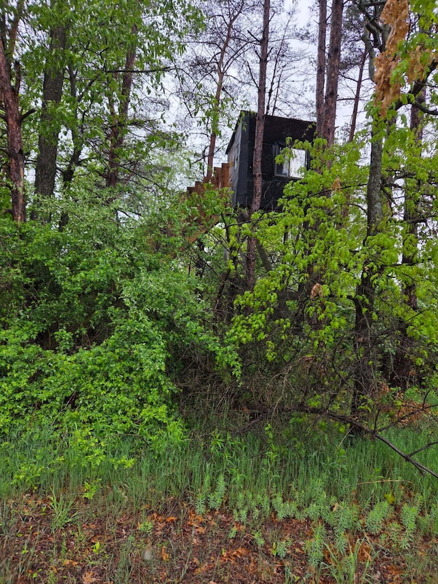 550 E N St, Edmore, MI 48829 - view of undeveloped land