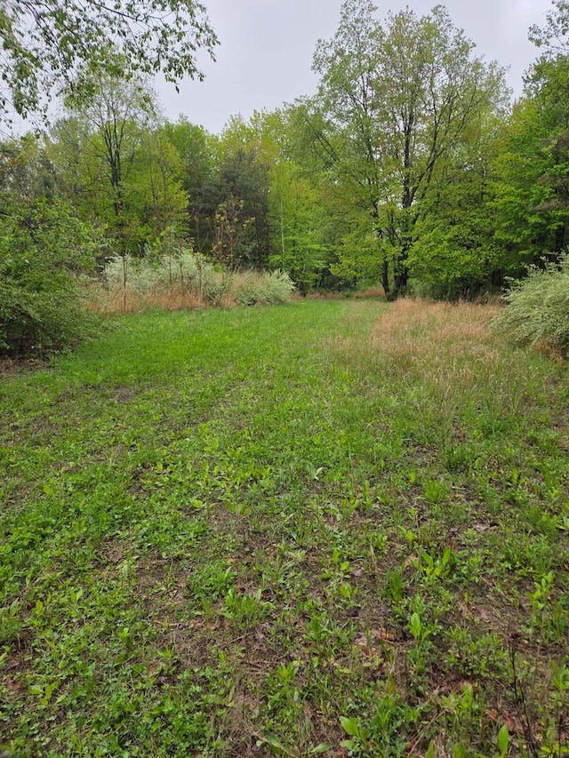 550 E N St, Edmore, MI 48829 - view of yard featuring a forest view