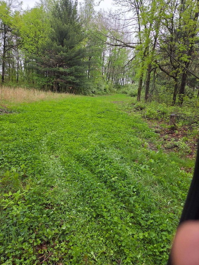 550 E N St, Edmore, MI 48829 - view of yard