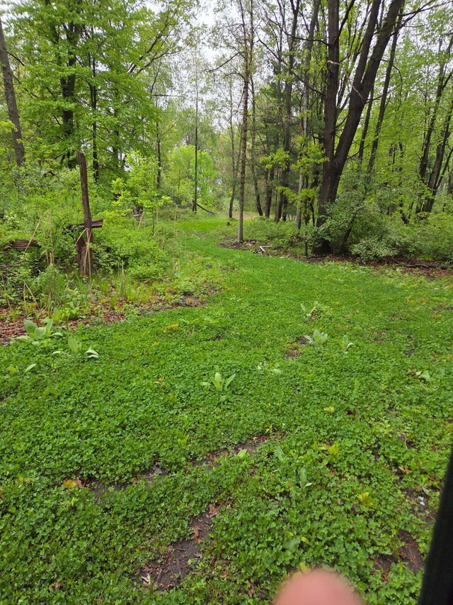 550 E N St, Edmore, MI 48829 - view of yard
