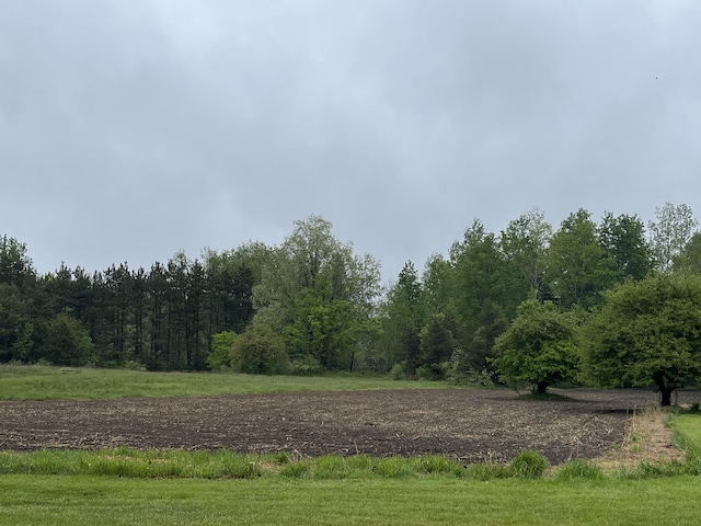 550 E N St, Edmore, MI 48829 - view of yard featuring a wooded view
