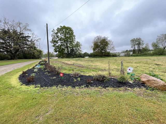 550 E N St, Edmore, MI 48829 - view of yard