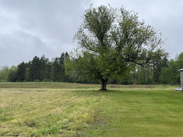 550 E N St, Edmore, MI 48829 - view of grassy yard with a wooded view