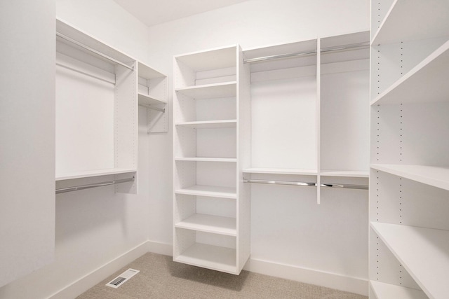 0 Baldwin St, Hudsonville, MI 49426 - spacious closet with carpet