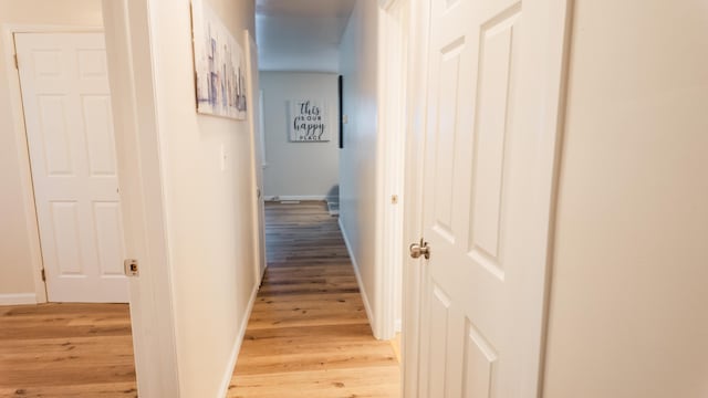 1514 Dean Dr, Albion, MI 49224 - hallway with light wood finished floors and baseboards