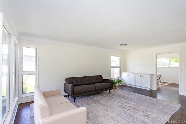 24548 Templar Ave, Southfield, MI 48075 - living area with dark wood-style flooring and baseboards