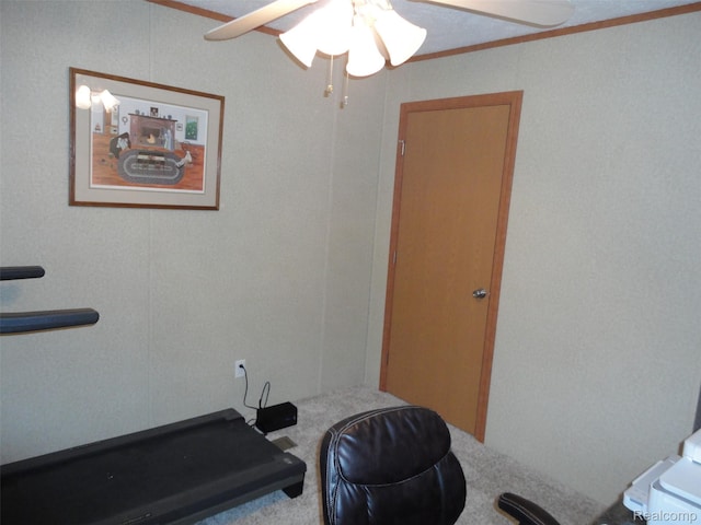 501 Kinloch, Temperance, MI 48182 - workout room featuring a ceiling fan, carpet floors, and crown molding
