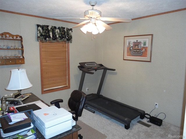 501 Kinloch, Temperance, MI 48182 - workout room featuring ornamental molding, carpet flooring, and a ceiling fan