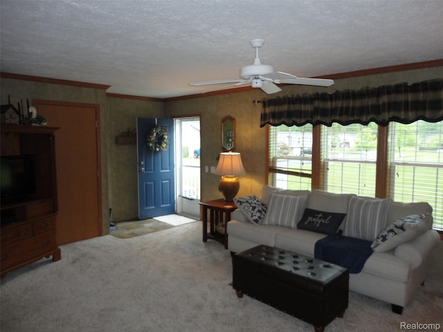 501 Kinloch, Temperance, MI 48182 - carpeted living area with ceiling fan, a textured ceiling, and crown molding